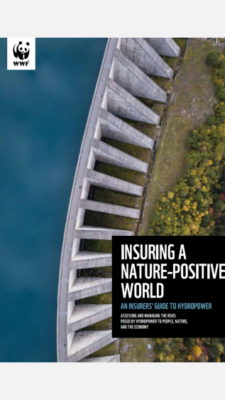 Insuring a Nature-positive World_An insurer's guide to hydropower_WWF