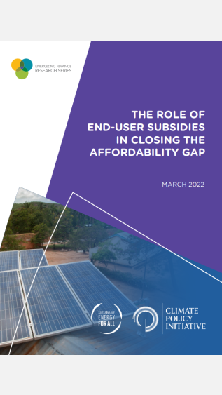 The Role of End-User Subsidies in Closing the Affordability Gap