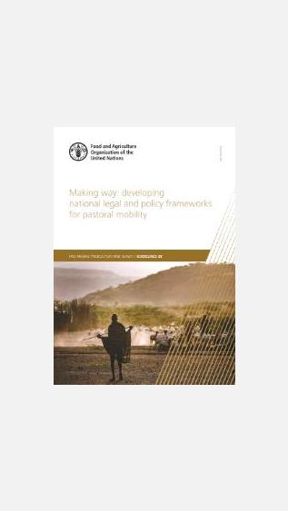Making Way: Developing national legal and policy frameworks for pastoral mobility
