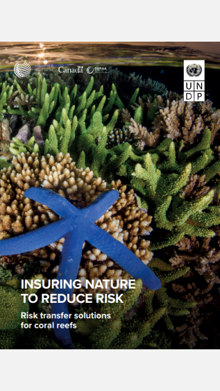 Insuring Nature to Reduce Risks_UNDP