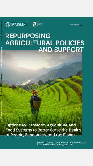 Repurposing Agricultural Policies and Support: Options to transform agriculture and food systems to better serve the health of people, economies, and the planet