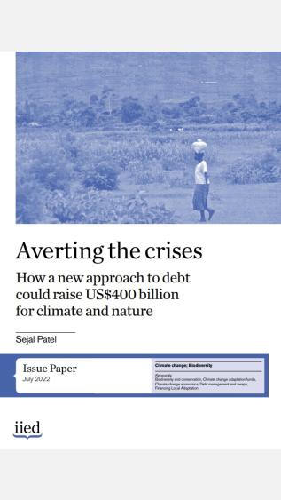 Averting the crises: How a new approach to debt could raise US$400 billion for climate and nature