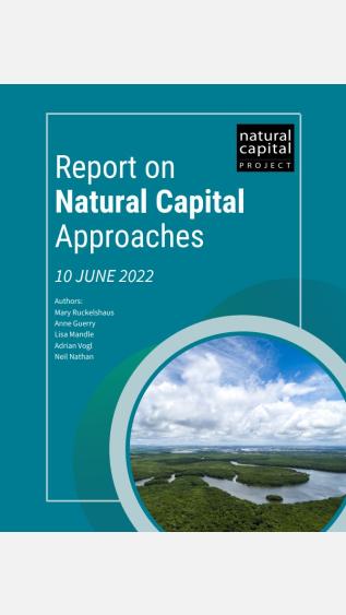Report on Natural Capital Approaches