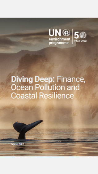 Diving Deep_Finance, ocean pollution and coastal resilience_UNEP