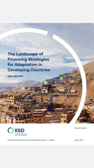 The Landscape of Financing Strategies for Adaptation in Developing Countries_IISD