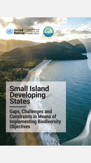 UN DESA_ Gaps Report_SIDS