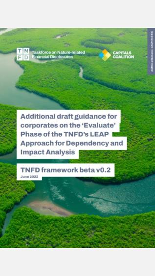 Additional Draft Guidance for Corporates on the ‘Evaluate’ Phase of the TNFD’s LEAP Approach for Dependency and Impact Analysis: TNFD framework beta v0.2