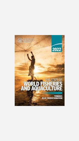 The State of World Fisheries and Aquaculture 2022: Towards blue transformation