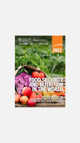 The State of Food Security and Nutrition in the World 2022