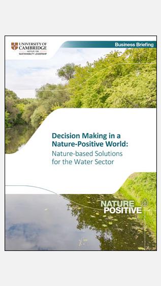 Decision Making in a Nature-Positive World: Nature-based solutions for the water sector