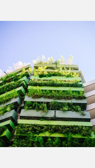 UNSPLASH sustainable growth