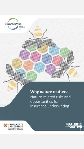 why_nature_matters_cambridge institute for sustainability leadership