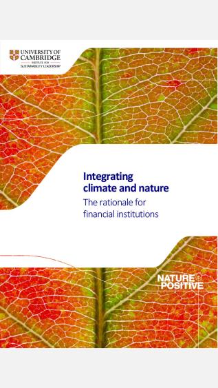 integrating_climate_and_nature_the_rationale_for_financial_institutions_cisl