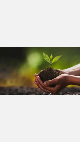 My Sustainable Challenge