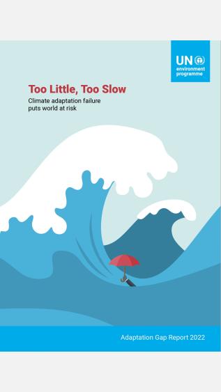 Adaptation Gap Report 2022