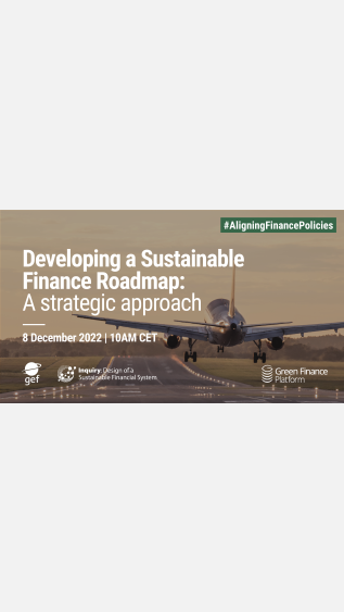 Sustainable Finance Roadmap Webinar Banner
