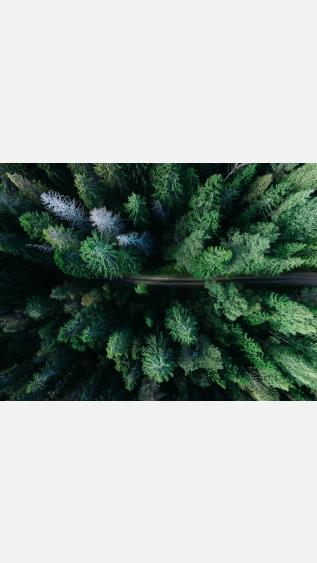 unsplash Geran Klerk