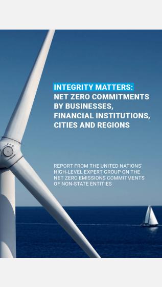 high-level_expert_group_integrity_matters_un