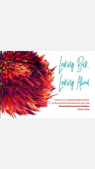 PEI-Lessons_Learned_2005-2018