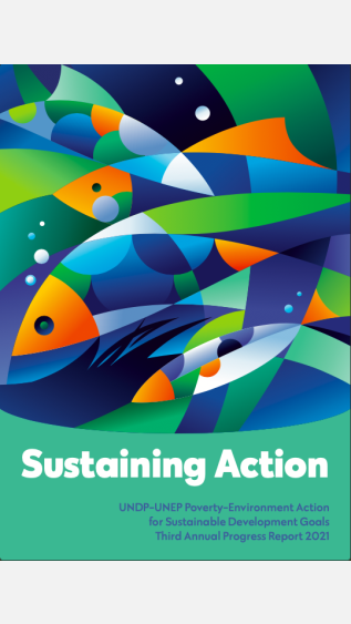 3rd_Annual_Progress_Report_2021