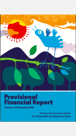 PEA_Provisional_Financial_Report_2020