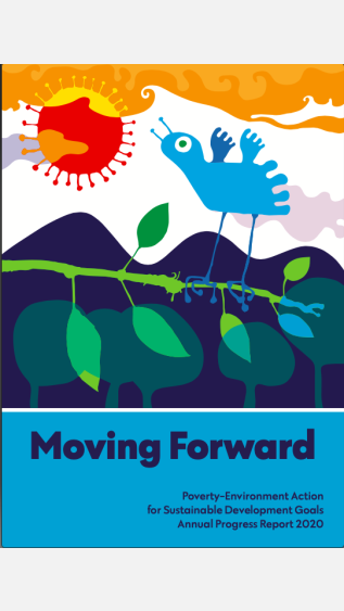 PEA_Annual _Progress _Report_2020_2