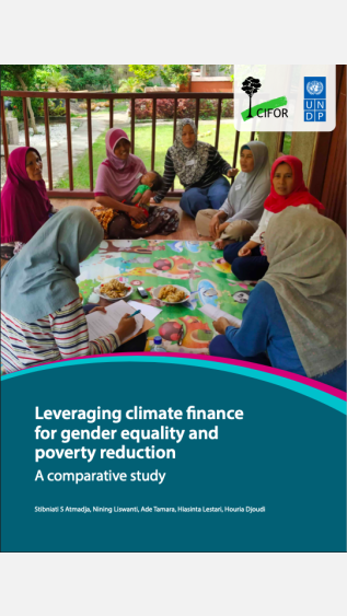 Leveraging_Climate_Finance_UNDP-Report