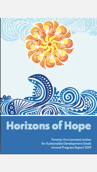 2019_Annual_Progress_Report_1July2020