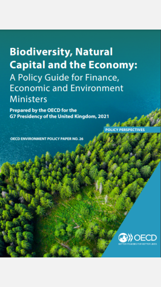 OECD policy