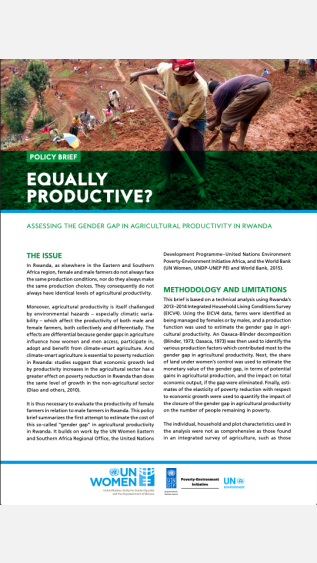 PEI-15_final rwanda policy brief-web_0-COVER