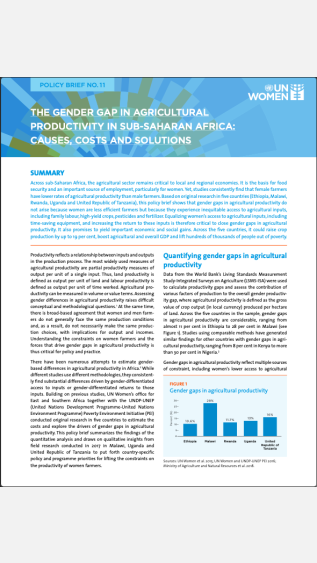 PEI-4_un-women-policy-brief-11-the-gender-gap-in-agricultural-productivity-in-sub-saharan-africa-en
