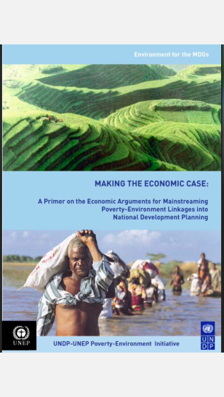 PEI-54_-economicmainstream-undp-COVER