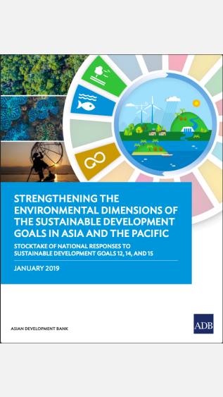 PEI-5_Envtal Dimensions of SDGs in Asia_Stocktake_2019-cover