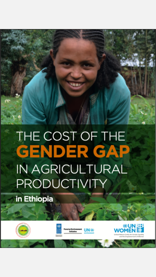 PEI-6_study report the cost of the  gender gap  in  agricultural productivity  in  ethiopia finalcompresse