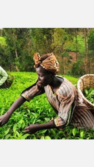 PEA_Rwanda_Green Villages