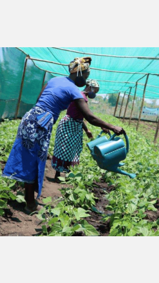 Story_Africa_Work_on_ENR_Poverty