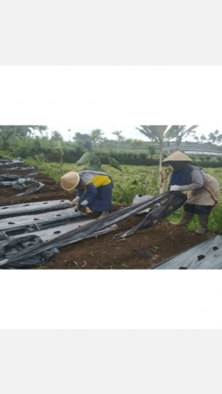 Story_Indonesia_Climate_Budget_Tagging