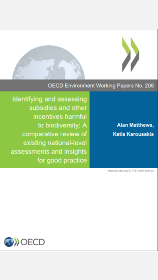 OECD Working Paper 206