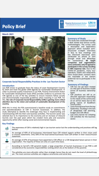 PEA-PEI-Others-10_CSR Policy Brief_Final-cover