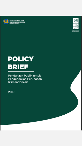 PEA-PEI-Others-18_INS-PolicyBriefPCFRecovered9April-cover
