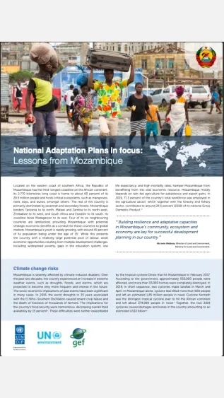 PEA-PEI-Others-19_National Adaptation Plans in focus - Lessons from Mozambique_web Apr 2020-cover