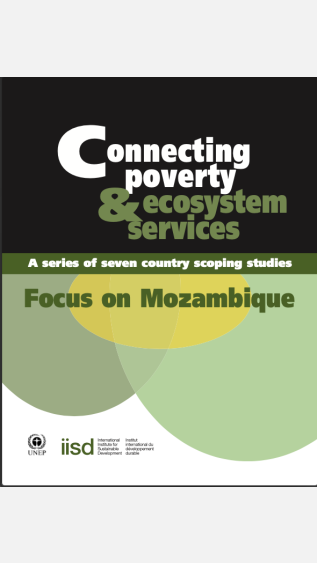 PEA-PEI-Others-37_Connecting Pov.&EcosystemServices_Mozambique-cover