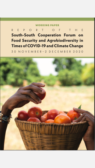 PEA-PEI-Others-4_South-South_Coop_Forum 2020_report-final-cover
