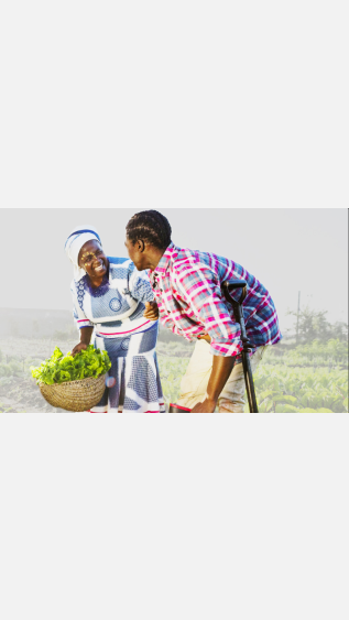 PEA - LESSONS LEARNT REPORT - COVER