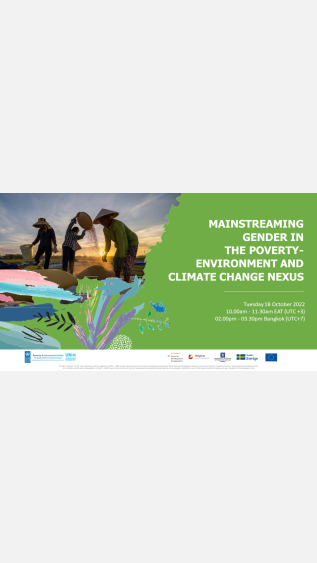 Webinar Poster_Mainstreaming Gender in the Poverty-environment and climate change nexus