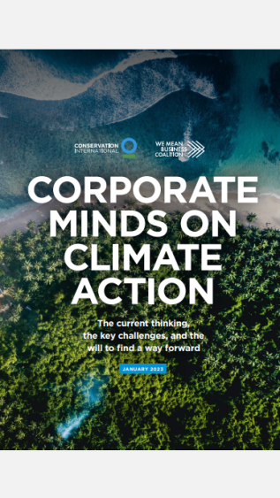 Corporate Minds on Climate Action