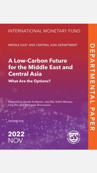 A Low-Carbon Future for the Middle East and Central Asia What Are the Options?