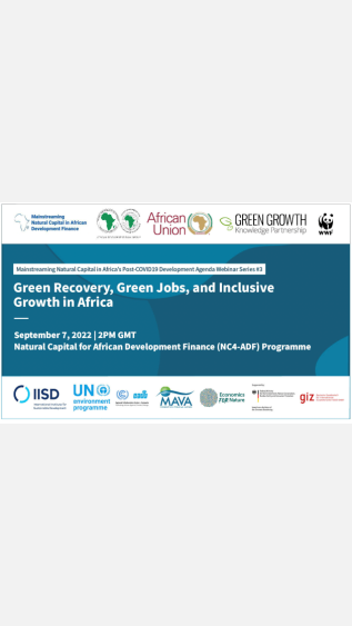 Green recovery webinar 2