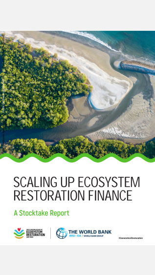 Scaling Up Ecosystem Restoration Finance A Stocktake Report_WB