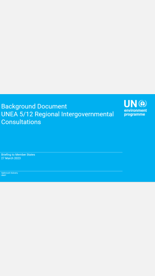 Guidance on the Background Document of the Briefing Session 27.03.23